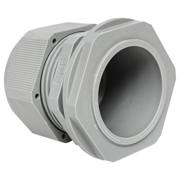  Сальник PG36 d22-32мм (d отверст. 46мм) IP54 (уп.1шт) PROxima EKF plc-pg-36-1-r фото в каталоге от BTSprom.by