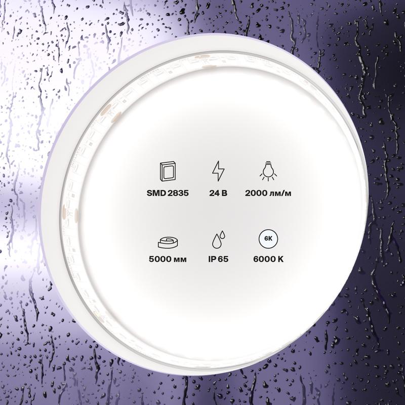  Лента светодиодная 24В 2835 20Вт/м 6000К IP65 (уп.5м) Maytoni 10159 фото в каталоге от BTSprom.by