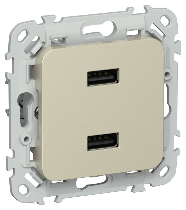 розетка usb сп flite рю-2-флш aa 2.1а механизм шампань iek fi-u21-d31-k37 от BTSprom.by