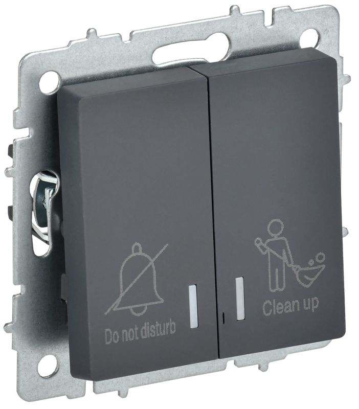 выключатель 2-кл. brite 10а вс10-2-9-брг для отелей с индик. механизм графит iek br-v20-2-10-k53 от BTSprom.by