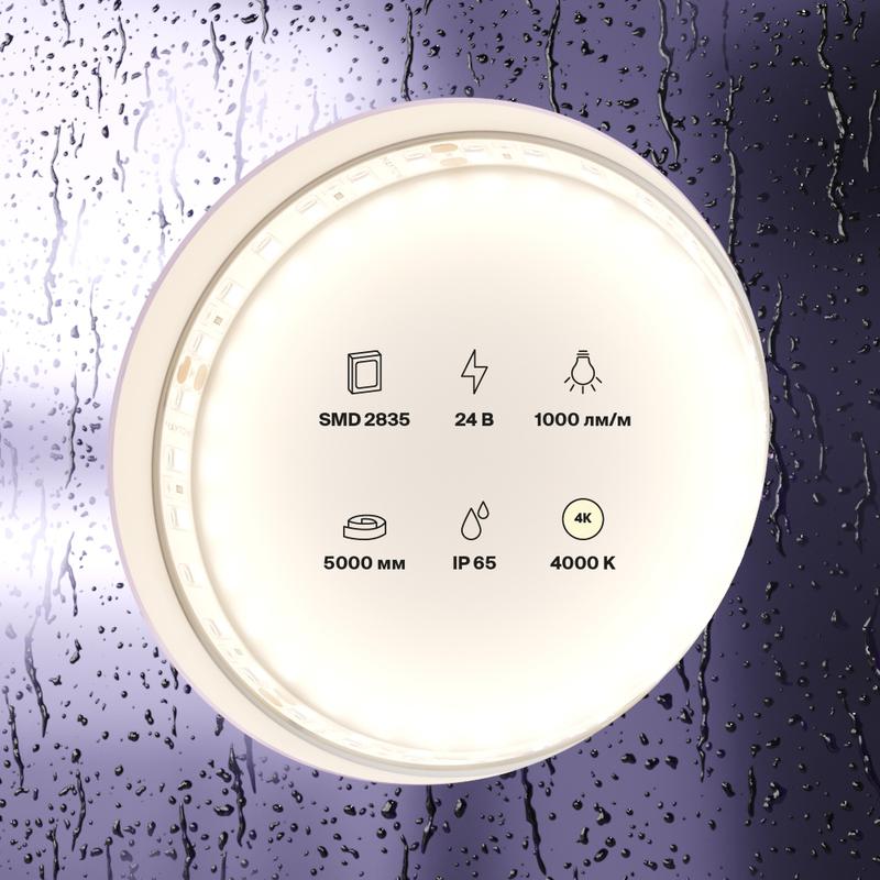  Лента светодиодная 24В 2835 9.6Вт/м 4000К IP65 (уп.5м) Maytoni 10146 фото в каталоге от BTSprom.by