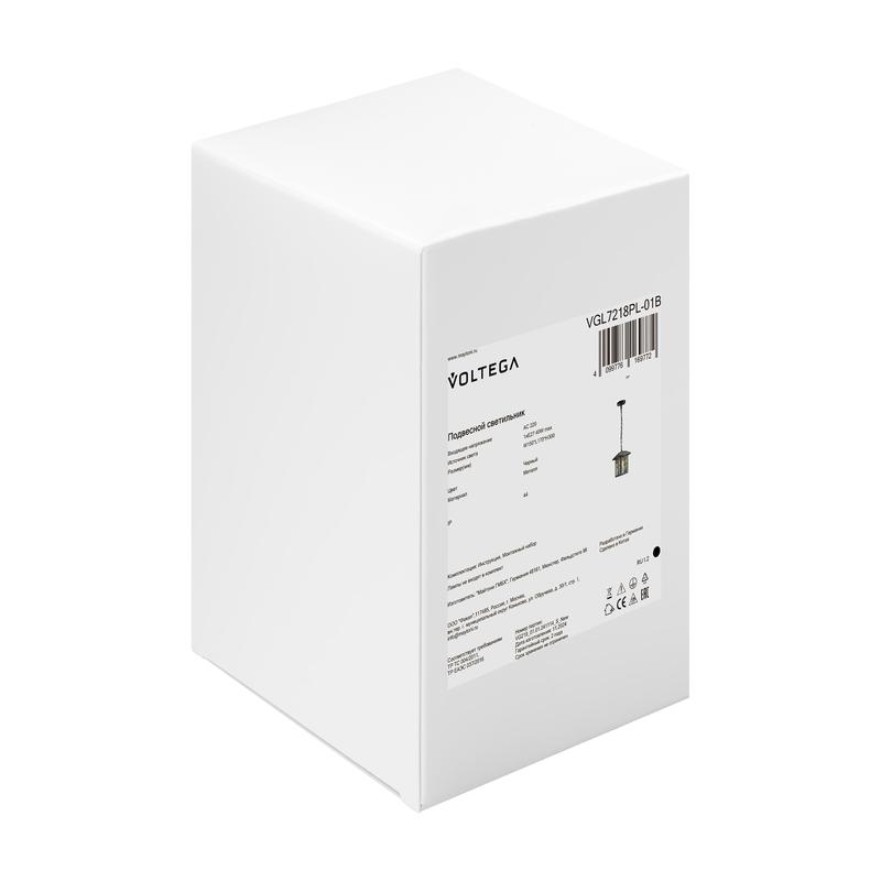  Светильник Saga 1х40Вт E27 IP44 подвесной Voltega VGL7218PL-01B фото в каталоге от BTSprom.by