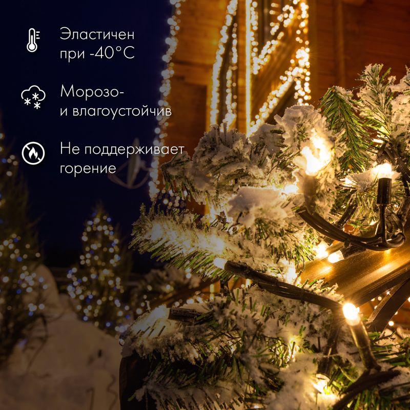 гирлянда светодиодная "нить" 20м 200led зел. 18вт 230в ip67 постоян. свечение провод каучук черн. (нужен шнур питания 315-000) neon-night 315-154 от BTSprom.by