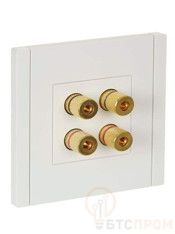 Аудиорозетка 4-м FORTE&PIANO FP239 бел. IEK FP-S40-K01 фото в каталоге от BTSprom.by  Аудиорозетка 4-м FORTE&PIANO FP239 бел. IEK FP-S40-K01 фото в каталоге от BTSprom.by