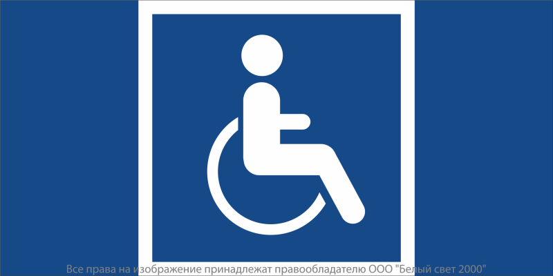 знак безопасности npu-6030.d02 "символы доступ. для инвалидов всех категорий" белый свет a20604 от BTSprom.by