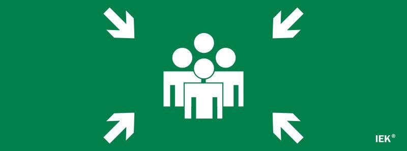 этикетка самоклеящаяся 350х130мм "место сбора" iek lpc10-1-35-13-msts от BTSprom.by