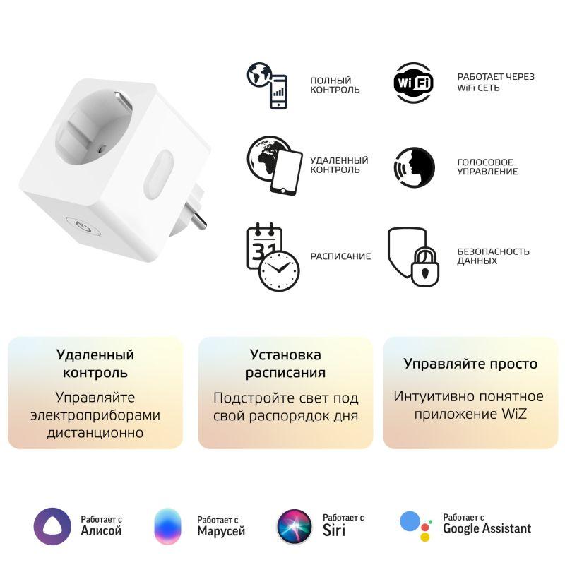  Переходник сетевой (розетка умная) Smart Home 10А 2300Вт IP20 207-253В с заземл. GAUSS 5510122 фото в каталоге от BTSprom.by