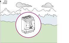  Выключатель автоматический 3п 16А 25кА CVS100B SchE LV510300 фото в каталоге от BTSprom.by