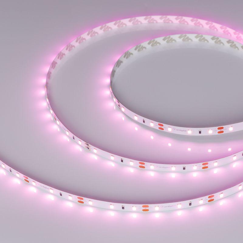 лента светодиодная rt-a60-8mm 12v pink 4.8вт/м ip20 2835 (уп.5м) arlight 013571(2) от BTSprom.by