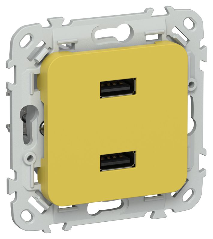 розетка usb сп flite рю-2-флжк aa 2.1а механизм желт. карри iek fi-u21-d31-k44 от BTSprom.by