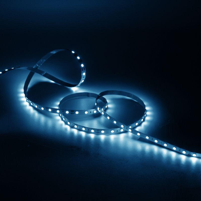  Лента светодиодная Black 2835/60-SMD 4.8Вт/м 6500К холод. бел. IP20 210лм/м 12В (блист.5м) GAUSS 312000305 фото в каталоге от BTSprom.by