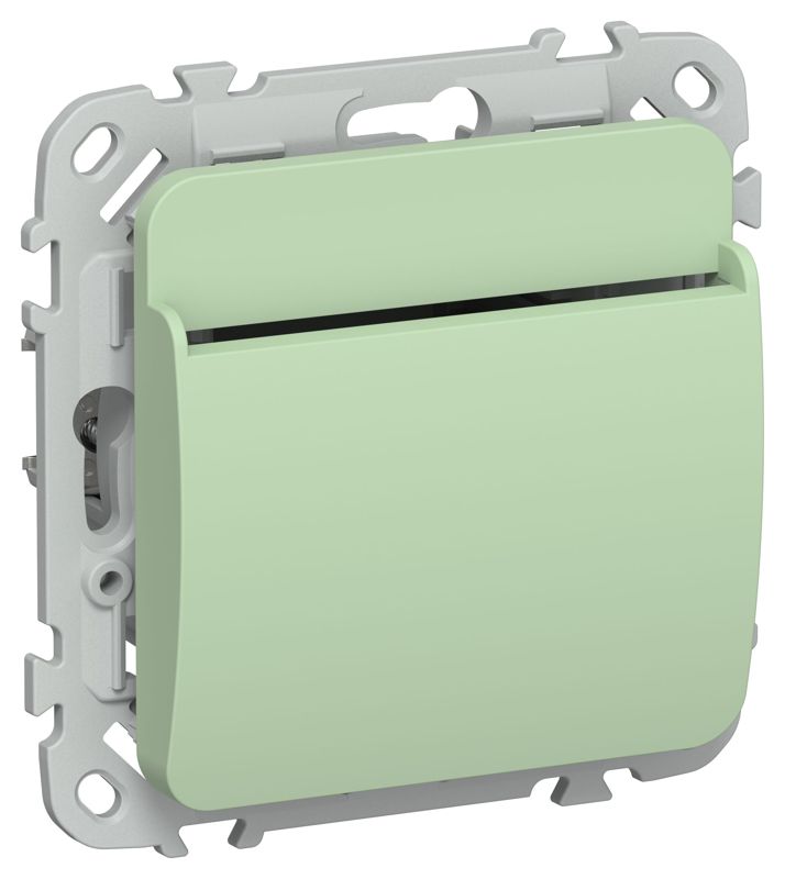 выключатель карточный сп flite вк-0-флф 30а механизм фисташк. iek fi-v11-0-10-k93 от BTSprom.by