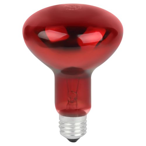 Излучатель тепловой (лампа инфракрасная) ИКЗК 230-100 R95 100Вт E27 для обогрева животных и освещения КЭЛЗ Б0064638 фото в каталоге от BTSprom.by