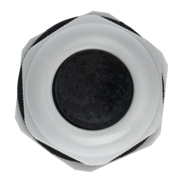  Сальник PG19 d12-15мм (d отверст. 23мм) IP54 PROxima EKF plc-pg-19-r фото в каталоге от BTSprom.by