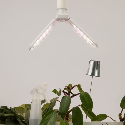 Лампа светодиодная GREEN LINE ФИТО-20W-PFR-E27-GR 20Вт E27 для растений 2-х лепестковая полного спектра Эра Б0064520 фото в каталоге от BTSprom.by