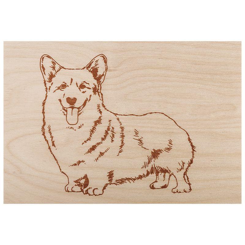  Набор досок для выжигания "Набор №2" (воин/динозавр/собака/машина/без рисунка) 148х210мм (А5) пакет (уп.5шт) Rexant 12-0937 фото в каталоге от BTSprom.by