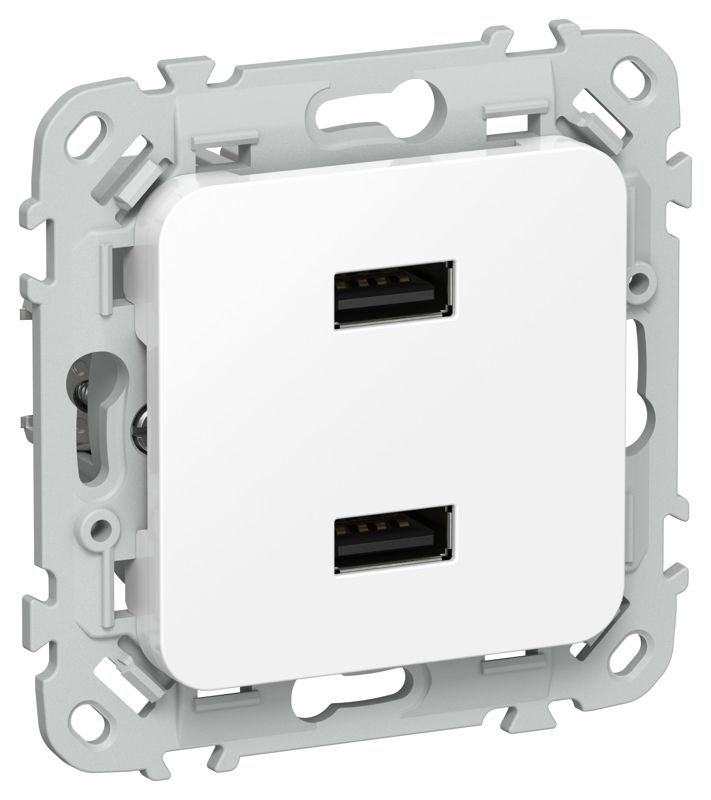 розетка usb aa сп flite рю-2-флб 2.1а механизм бел. iek fi-u21-d31-k01 от BTSprom.by