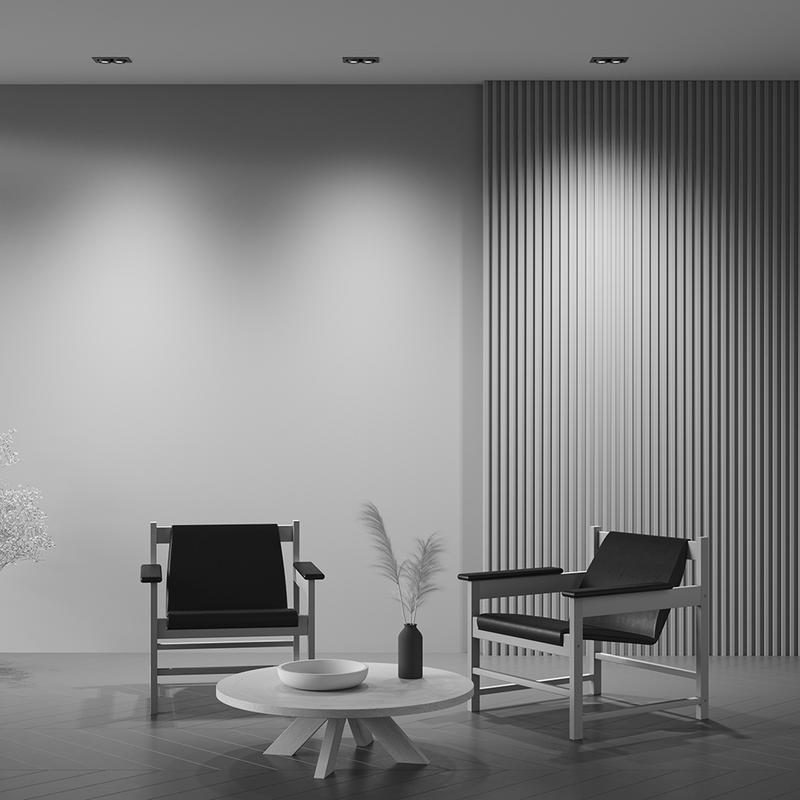  Светильник Hidden 2х10Вт 4000К 36град. встраив. Maytoni DL045-02-10W4K-B фото в каталоге от BTSprom.by