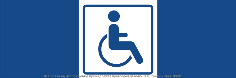 знак безопасности npu-3413.d01 "символ доступности для инвалидов" белый свет a19955 от BTSprom.by