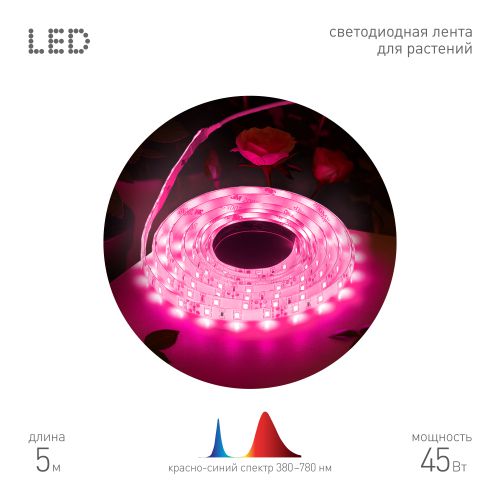 лента светодиодная fito-strip light-rb-45w-5m-12v-ip65 5м красн./син. спектра ip65 с адаптером 12в для растений эра б0064596 от BTSprom.by