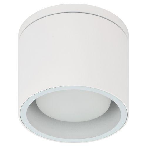  Светильник WL40 WH GX53 IP54 настен./потолочн. спот бел. Эра Б0054415 фото в каталоге от BTSprom.by