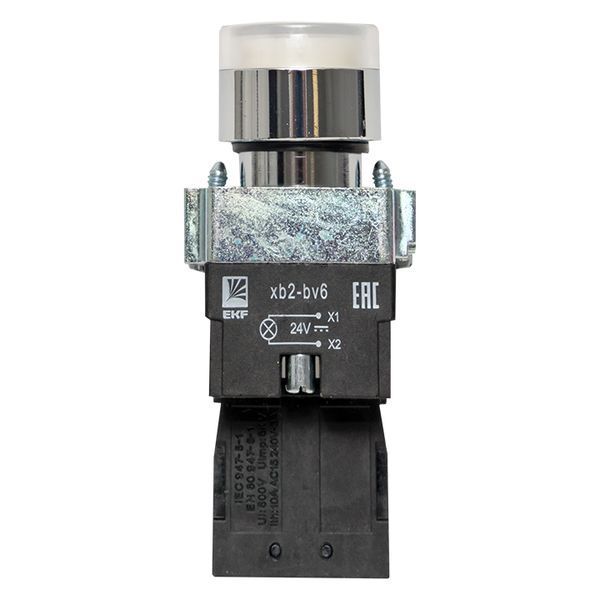  Кнопка BA21 с подсветкой 24В бел. NO PROxima EKF xb2-bw21-24 фото в каталоге от BTSprom.by