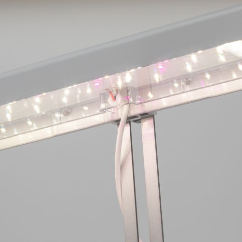  Светильник для растений FITO-20W-QLED-W 20Вт 220-240В 3500К IP40 +1град. до +35град. С 30000ч настол. ЭРА Б0039034 фото в каталоге от BTSprom.by