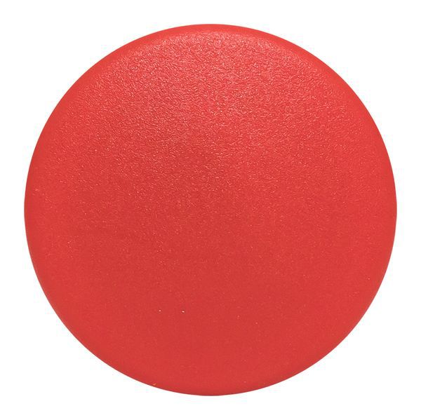  Механизм кнопки исполнительный XB4 "Грибок" возврат. без фиксации без подсветки красн. PROxima EKF XB4BC-R фото в каталоге от BTSprom.by