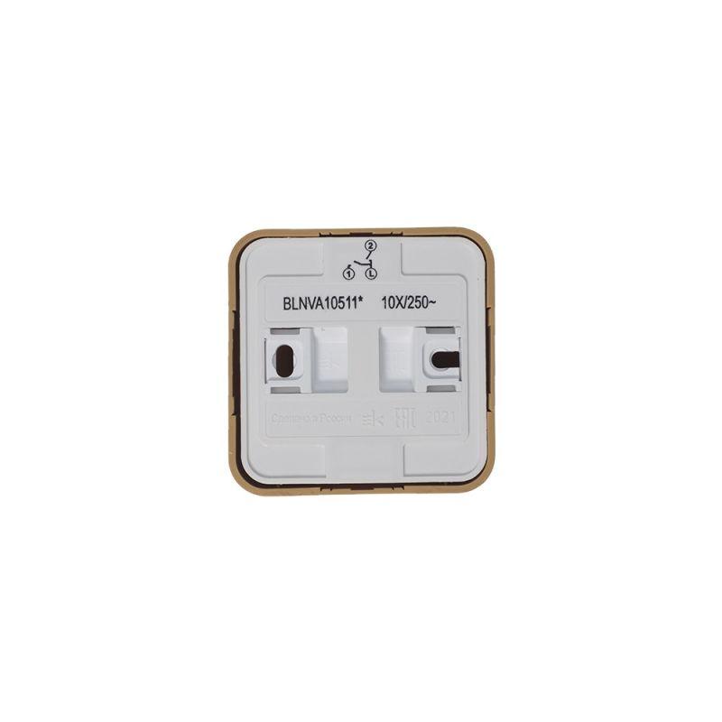  Выключатель 2-кл. ОП Blanca 10А IP20 (сх. 5) 250В с подсветкой с изолир. пластиной ясень SE BLNVA105115 фото в каталоге от BTSprom.by