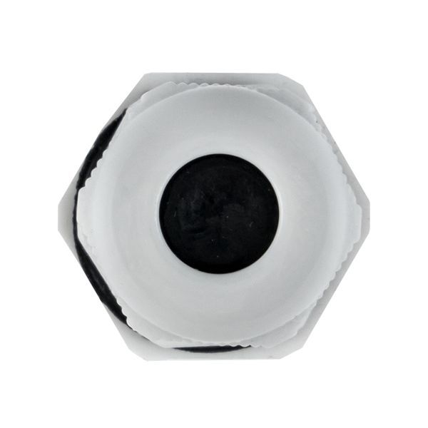  Сальник PG7 d3-6.5мм (d отверст. 13мм) IP54 PROxima EKF plc-pg-7-r фото в каталоге от BTSprom.by