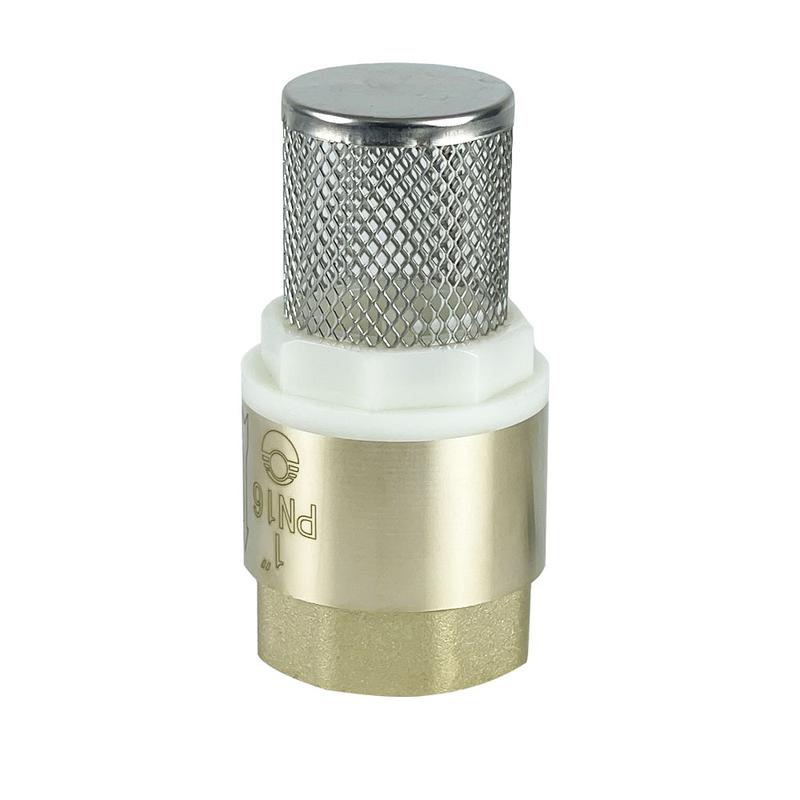 клапан обратный с фильтром 1дюйм (80/10) к valfex vf.161.ns.100 от BTSprom.by