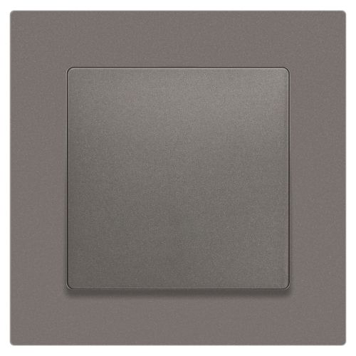  Кнопка Accent 6-109-09 10А-250В IP20 СУ титан Intro Б0063621 фото в каталоге от BTSprom.by