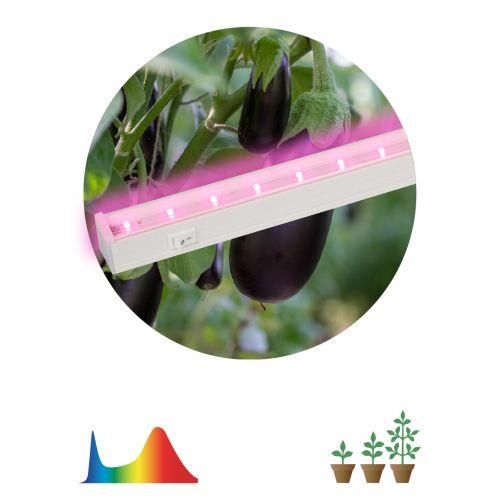 светильник светодиодный lled-05-t5-fito-14w-w линейный фито эра б0028200 от BTSprom.by