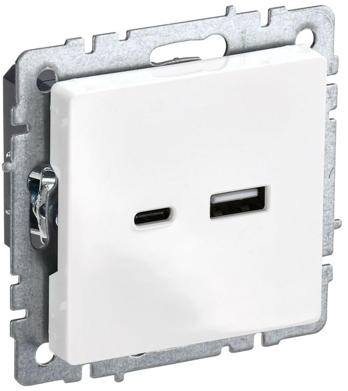 розетка brite usb a+c 18вт рю11-1-брб механизм бел. iek br-u22-018-k01 от BTSprom.by