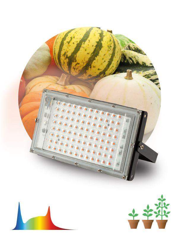прожектор светодиодный fito-80w-ra90-led-y 80вт для растений полноспектральный ip65 эра б0057284 от BTSprom.by