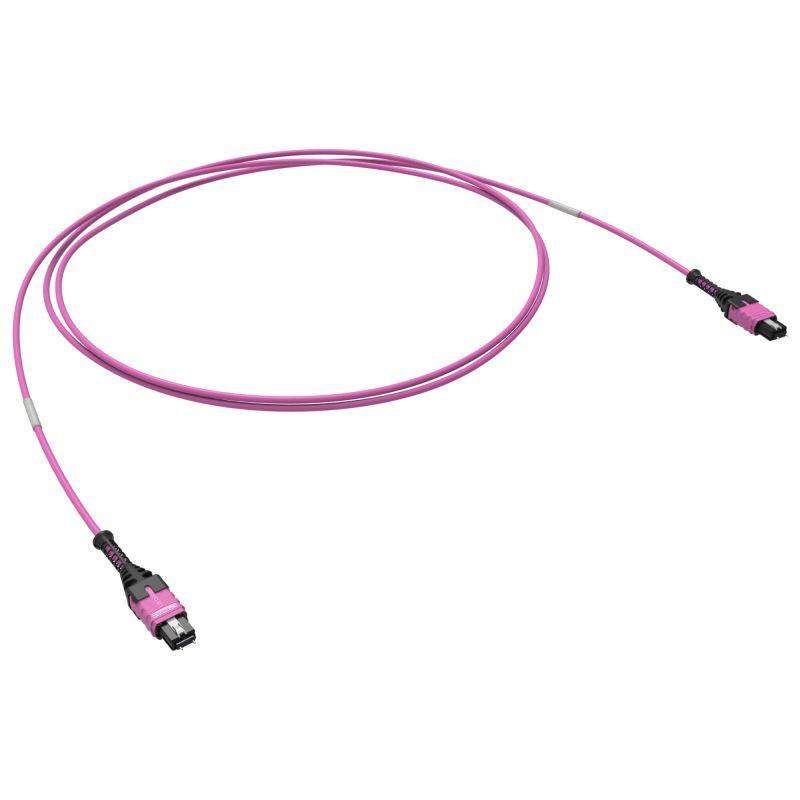 сборка оптическая соединительная 12ов 50/125 om4 1xmtp pro(12)/1xmtp pro(12) 10м dkc rntmm12410 от BTSprom.by
