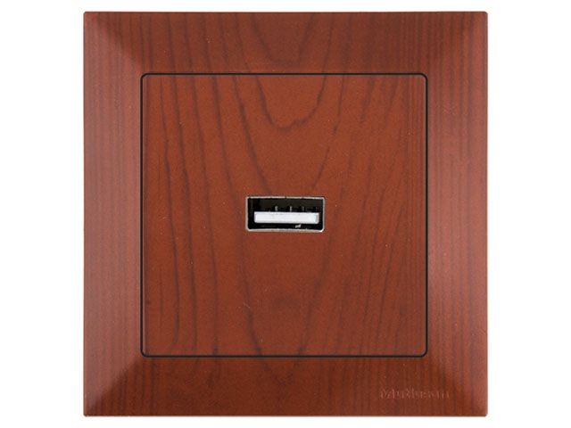 розетка 1-ая usb (скрытая) вишня, daria, mutlusan 2120 448 0156 от BTSprom.by