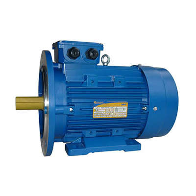 электродвигатель 5аи 100 l2 5.5/3000 im2081 элком 01.01.213678 от BTSprom.by