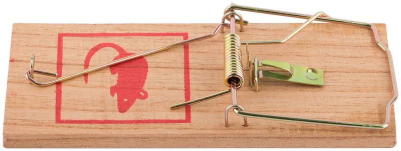  Мышеловка деревянная большая 180х85мм FIT 67810 фото в каталоге от BTSprom.by