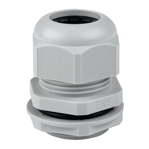 сальник pg29 d18-25мм (d отверст. 37мм) ip54 ip54 (уп.2шт) proxima ekf plc-pg-29-2-r от BTSprom.by