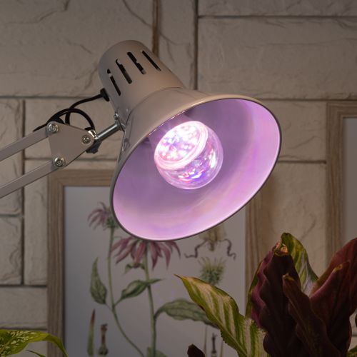 Лампа светодиодная FITO-11W-Ra90-E27 11Вт A60 грушевидная E27 220-240В для растений полноспектральная Эра Б0039172 фото в каталоге от BTSprom.by