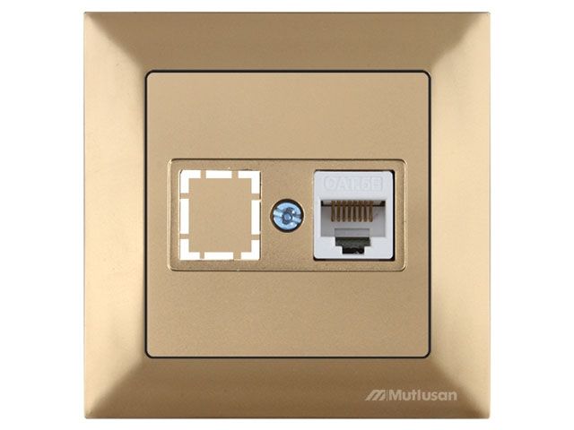 розетка компьютерная 1xrj45 (cat5e, скрытая) золото, daria, mutlusan ((rj 45)   8-pin, соединения типа 568a или 568b) 2120 136 0180 от BTSprom.by