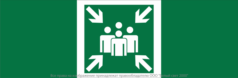знак безопасности npu-3413.e21 "пункт (место) сбора" белый свет a19916 от BTSprom.by