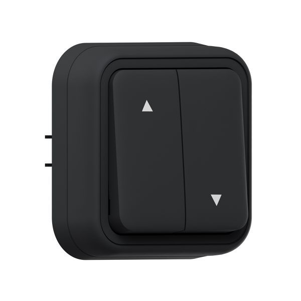 выключатель для жалюзи сп бронто винтовые клеммы антрацит ekf bt2-swa-25 от BTSprom.by