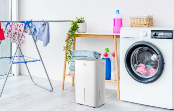  Осушитель воздуха RD-PC25-E ROYAL Clima НС-1615600 фото в каталоге от BTSprom.by