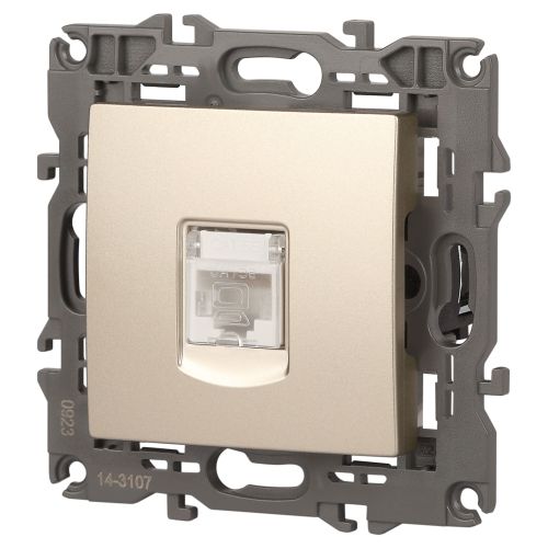  Розетка компьютерная 1-м Elegance 14-3107-04 RJ45 IP20 механизм шампань Эра Б0034305 фото в каталоге от BTSprom.by