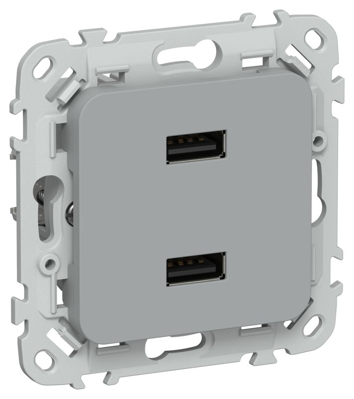 розетка usb сп flite рю-2-флс aa 2.1а механизм сер. iek fi-u21-d31-k03 от BTSprom.by
