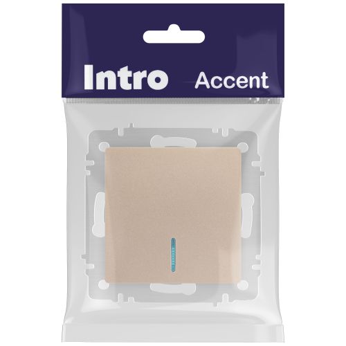  Выключатель 1-кл. СП Accent 6-102-04 10А IP20 250В с подсветкой AL/CU шампань Intro Б0063475 фото в каталоге от BTSprom.by