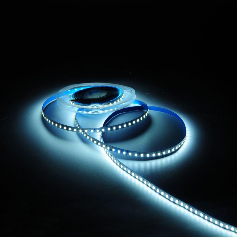  Лента светодиодная Basic 2835/120-SMD 10Вт/м 4000К нейтр. бел. IP20 700лм/м 12В 8мм (уп.5м) GAUSS BT040 фото в каталоге от BTSprom.by