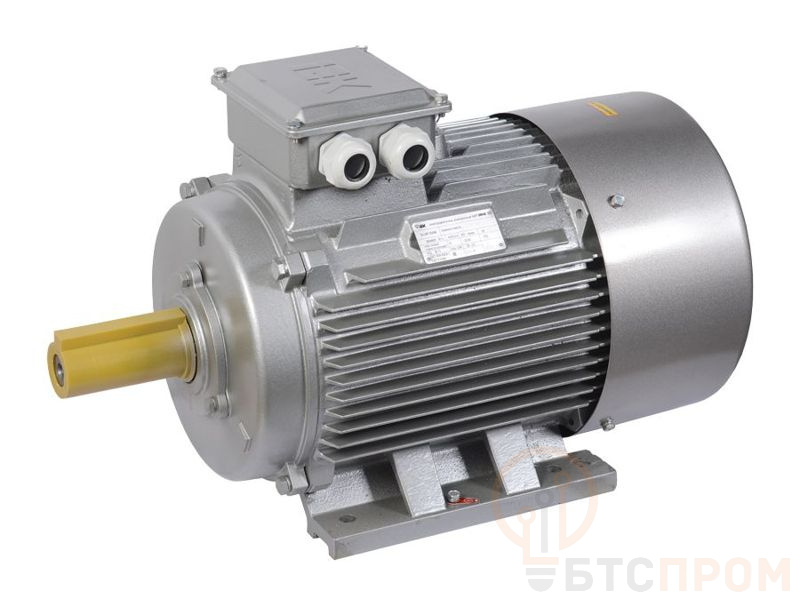  Электродвигатель АИР DRIVE 3ф 250S4 660-75-1500 1081 Pt1000 IEK DRV250-S4-075-0-1510-2-T фото в каталоге от BTSprom.by